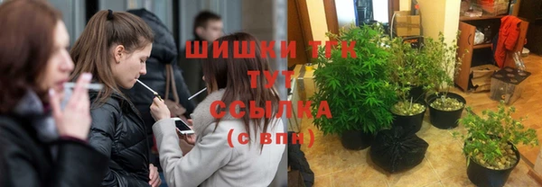 тгк Алексин