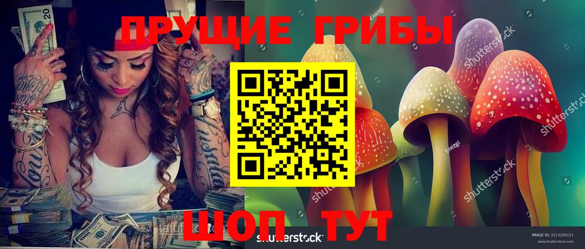 Галлюциногенные грибы Psilocybe Белебей