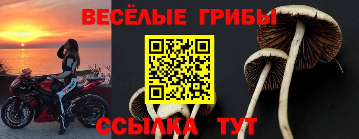 Галлюциногенные грибы MAGIC MUSHROOMS  Вход с VPN  Белебей 